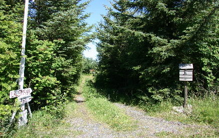 Einfahrt zum Ferienhaus   01