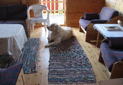 Ferienhaus   011 Teilansicht Wohnbereich   003