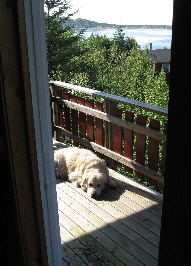 Ferienhaus   012 Blick auf den Au�enbereich